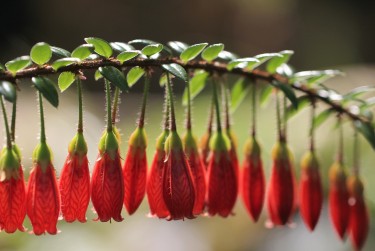 中山小榄5私人快速借钱网，轻松解决资金难题