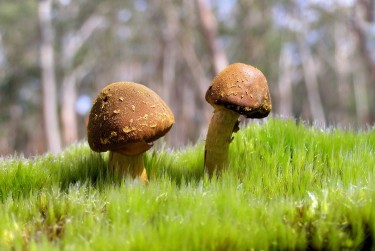 中山小榄5私人老板放款：轻松融资的秘密通道